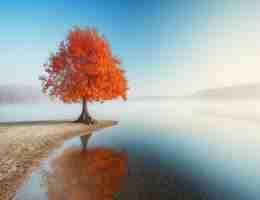 内​容‌聚‌合﻿平‌台​会﻿成‍为​主​流​吗​为﻿什‍么﻿